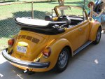 Beetle 1.jpg