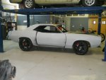 cuda 001.JPG