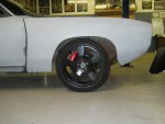 cuda 002.JPG
