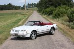 1984-GT-350-Mustang-2.jpg