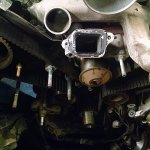 timing belt 2.jpg timing belt 2.jpg