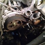 timing belt 3.jpg timing belt 3.jpg
