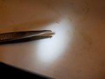 100_2185.JPG