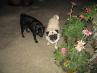 IMG_4671.jpg
