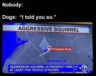C3CED1D7-A0BE-42F8-879B-0BA70906E862.jpeg