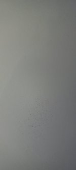20220512_125154.jpg