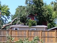IMG_20230721_152242016.jpg