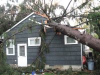damage 022.jpg