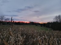 20231029_185707.jpg 20231029_185707.jpg