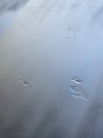 20260916_163806.jpg