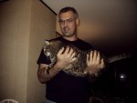 Gregs kitty 3.jpg