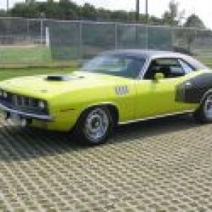 banneremipwr's cuda.jpg