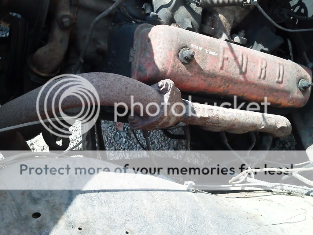 IMG_20120201_145300.jpg