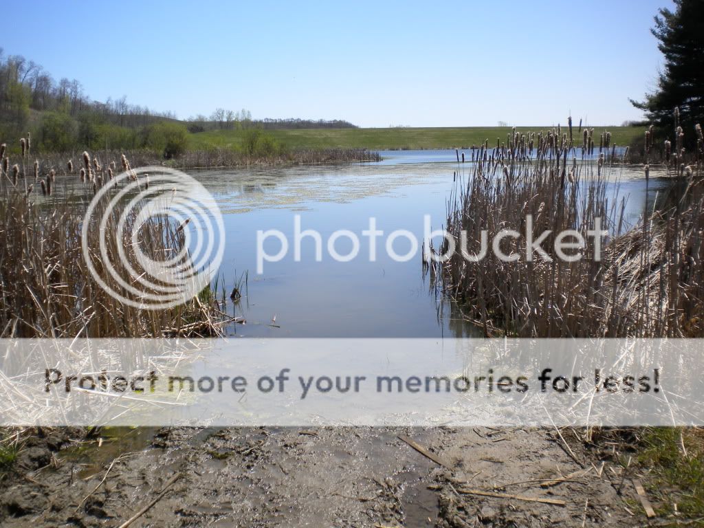 DSCN0148.jpg