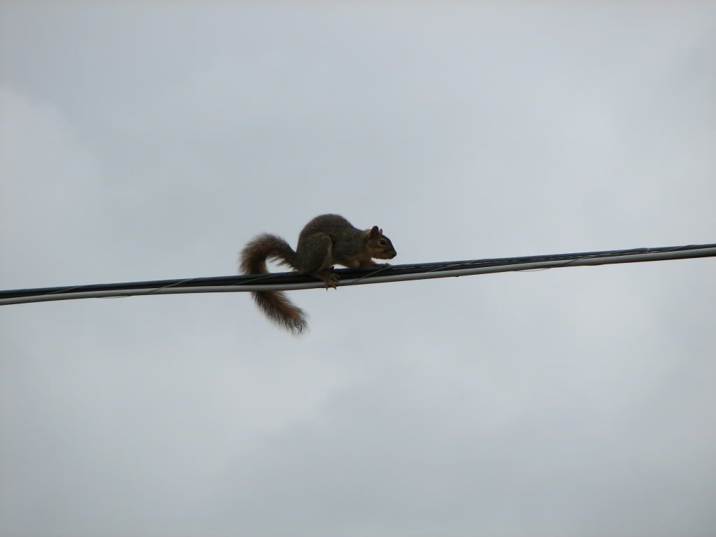IMG_4784.jpg