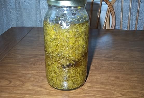 dandelionwine029.jpg