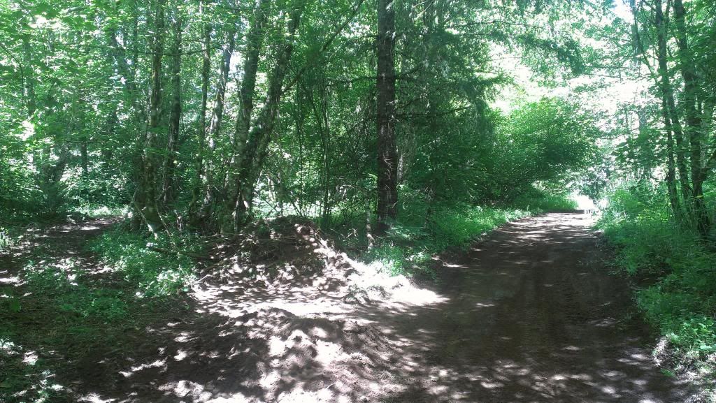 IMAG1605_zpsc8181a43.jpg